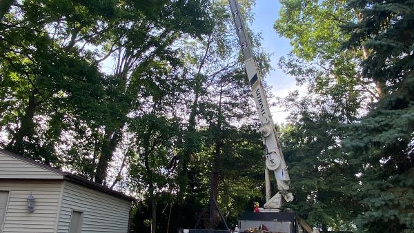 A&S Tree Service