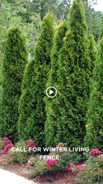 Four Sides Tree Services LLC