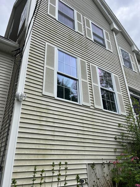 All Blue Pressure Washing