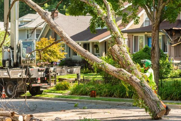 Hendrickson Tree Care Company