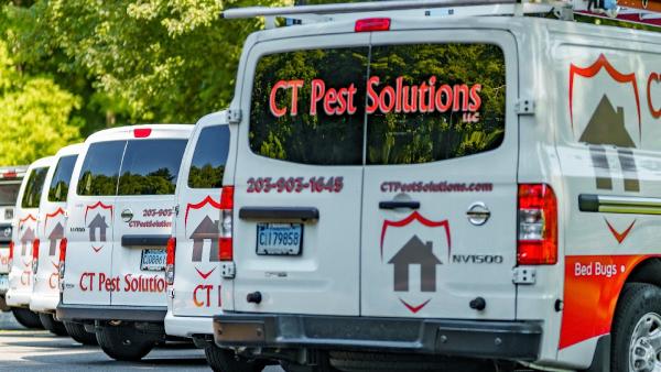 CT Pest Solutions