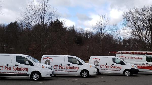 CT Pest Solutions