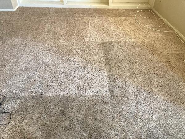 Renewed Carpet Care