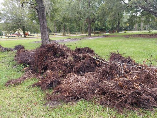 2C Cleaning and Junk Removal