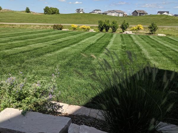 Lawnoxygen Quality Landscape Solutions LLC