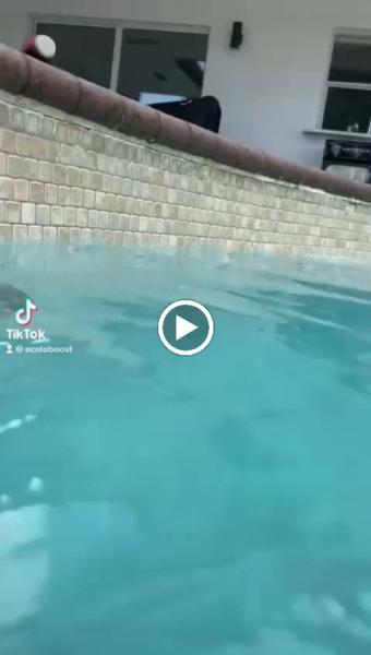Ecoloboost Pools
