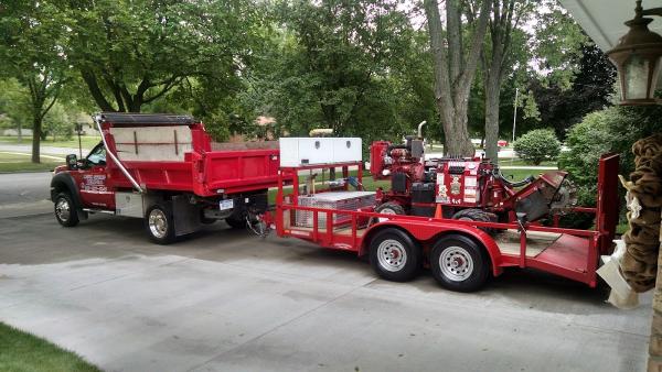 M & M Stump Removal