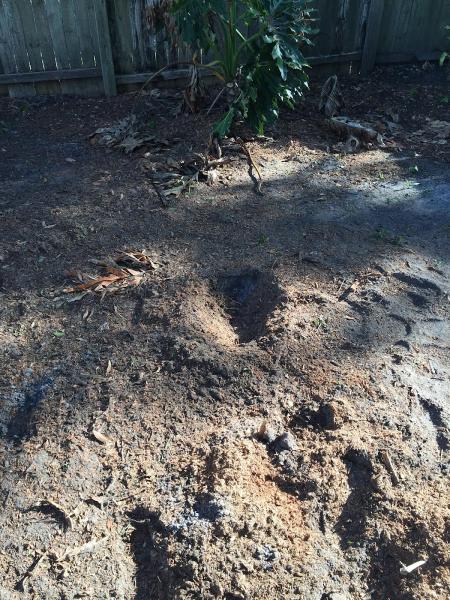 M & M Stump Removal