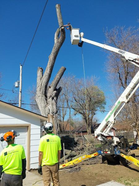 Wichita Tree Service LLC