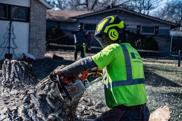Wichita Tree Service LLC