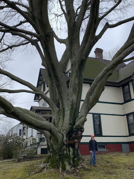 Brothers' Tree Service LLC