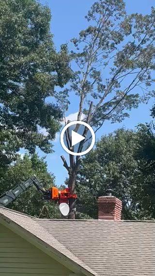Brothers' Tree Service LLC