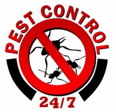 HK Pest Control Service