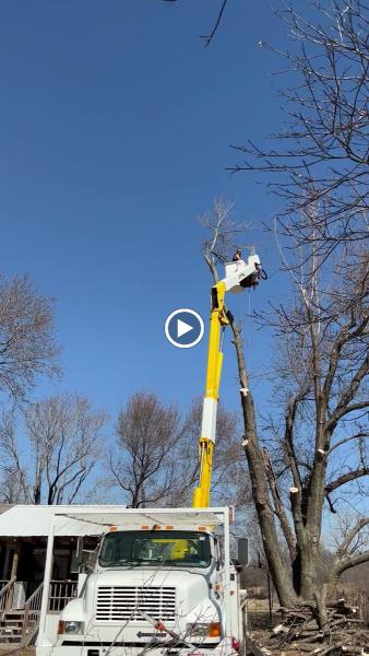 Cehand Tree Service and Land Clearing