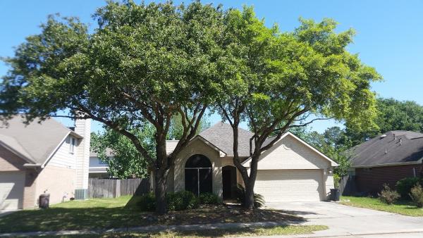 Arbor Tech Tree Care