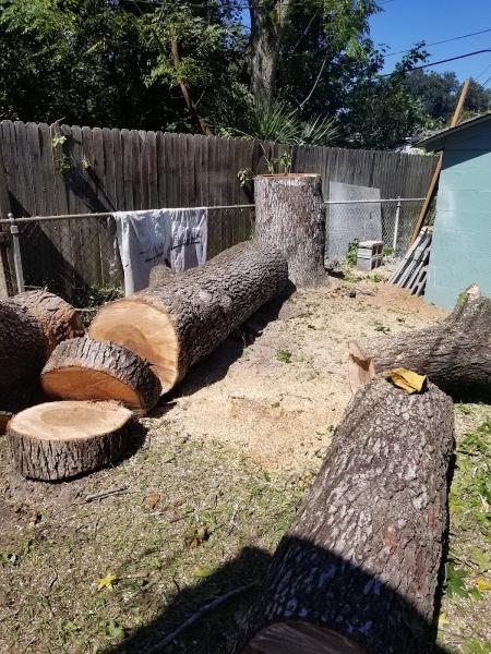 Recinos Tree Services LLC