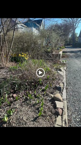 Macaslandscape Commercial & Residential Services