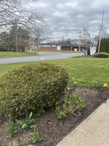 Macaslandscape Commercial & Residential Services