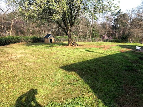 Hayden Lawn Care