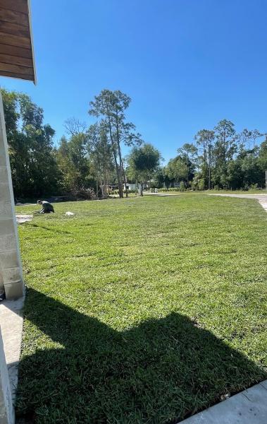 Rltc Inc. Tree Service and Lawn Care