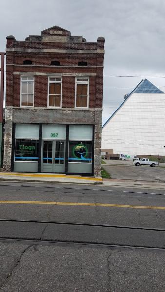Tioga Environmental Consultants
