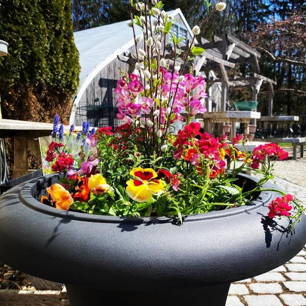 Millbrook Gardens Landscaping