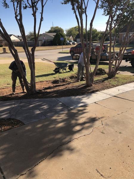 Cityscapes Landscape Services