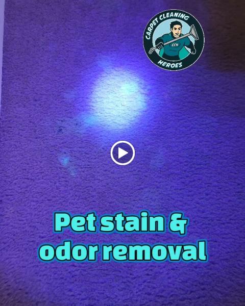 Carpet Cleaning Heroes