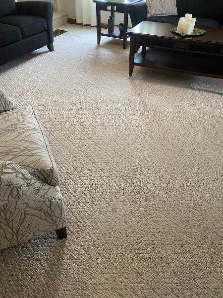 Carpet Cleaning Grove City