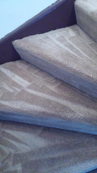 Constantin Service LLC