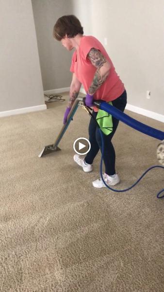 Palmetto Magic Clean