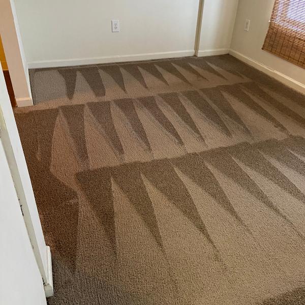 Palmetto Magic Clean