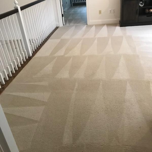 Palmetto Magic Clean