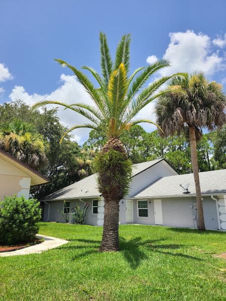 Cole's Landscaping and Property Maintenance LLC