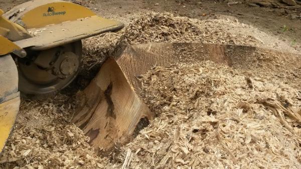 Stump Busters