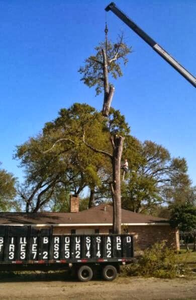 Billy Broussard Tree Service