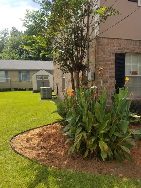 Leblanc's Tree & Stump Removal Inc