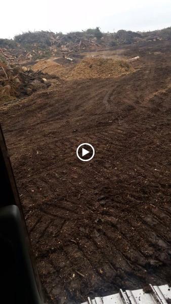 Mulch Matters