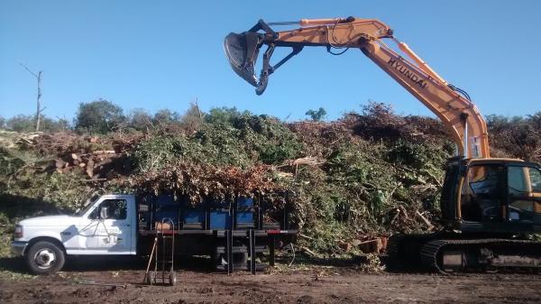 Mulch Matters