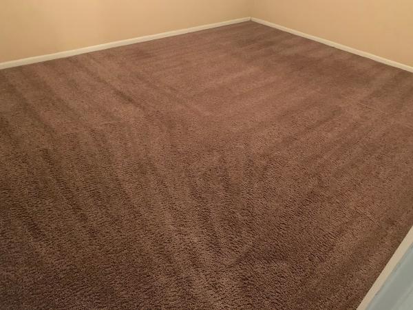 Hydra Maxx Carpet Cleaning-Tampa