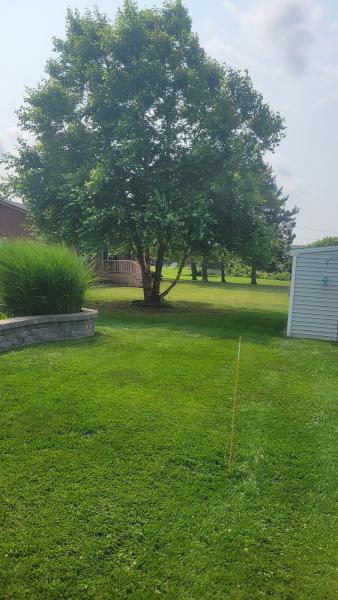 Heinz Tree and Land Services