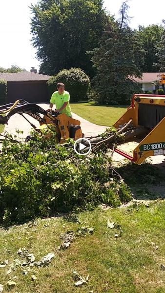 MRB Tree Service