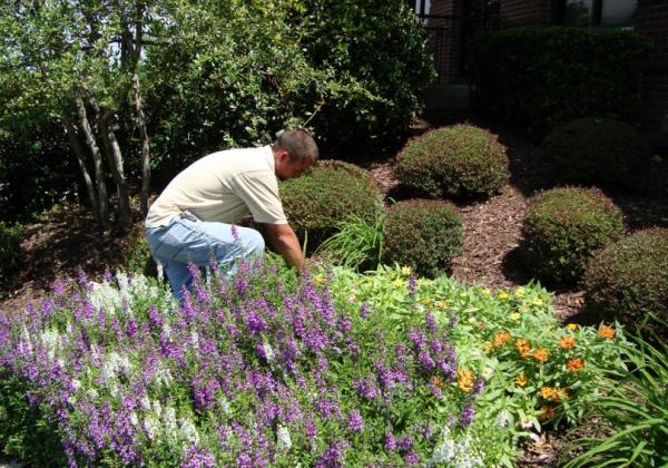 Peterson's Landscape & Maintenance Services