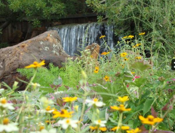 Peterson's Landscape & Maintenance Services