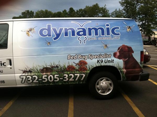 Dynamic Pest Control LLC