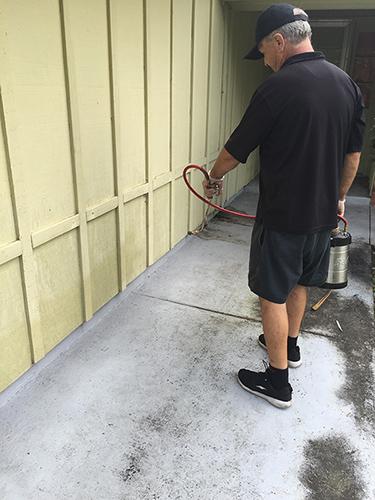 Asap Pest Control