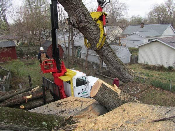 S & S Tree Masters Inc