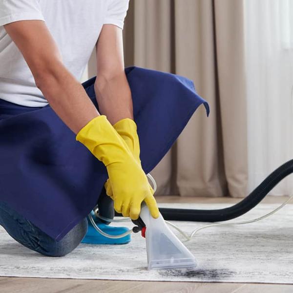 Mint Carpet Cleaning & Upholstery