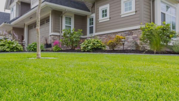 Clean Air Lawn Care