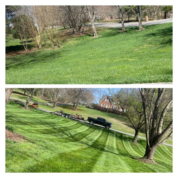 Vest Lawn Care and Landscaping